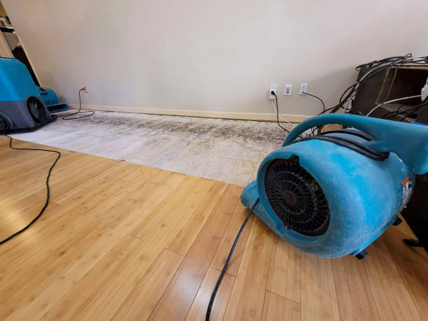 Professional Basement Flood Cleanup technician working in Eureka, UT